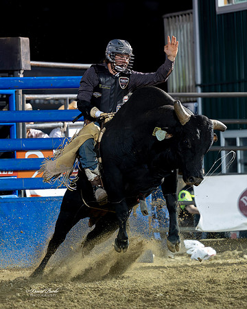 20260710-Hamel Rodeo 2026-206