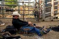 Hamel Rodeo 2026-3