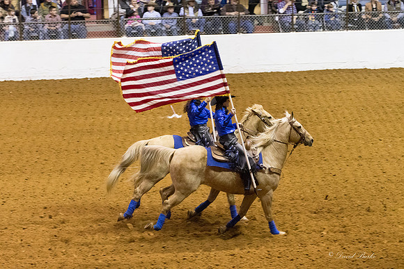 Stock Show 1-27-17-2
