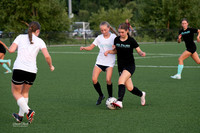 Fillies 8-13-26