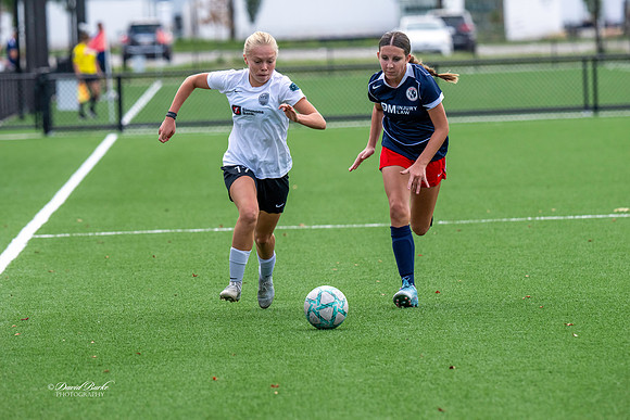 Fillies -15-26-15