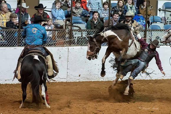 Stock Show 1-27-17-11