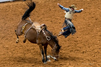 Stock Show 2018-21