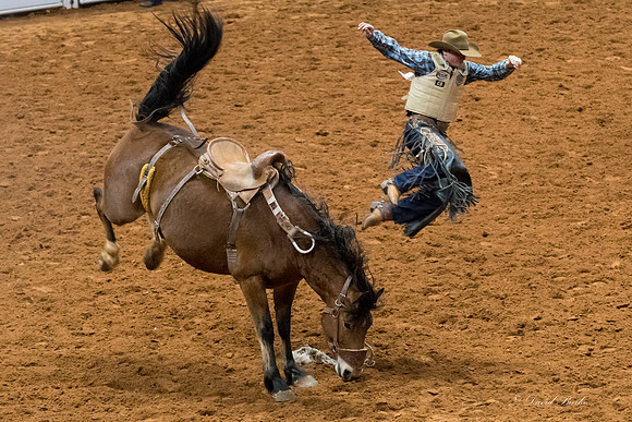 Stock Show 2018-21