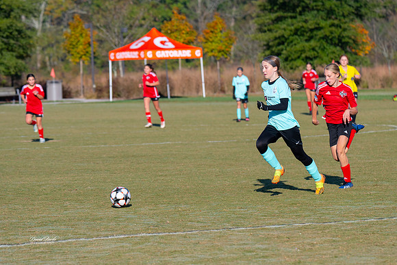 AFA Fillies Oct 2024-15