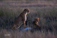 20260430-Africa, 2026-1497