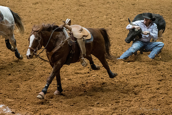 Stock Show 1-27-17-33