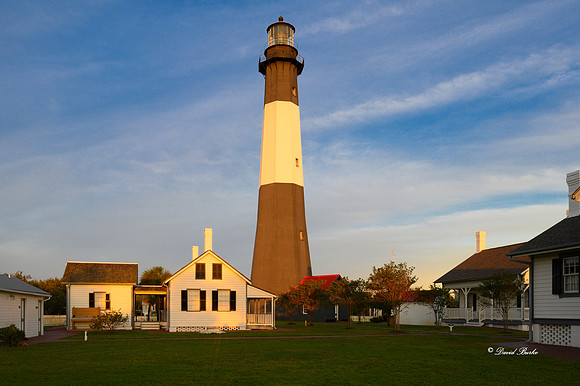 Savannah 2019-9