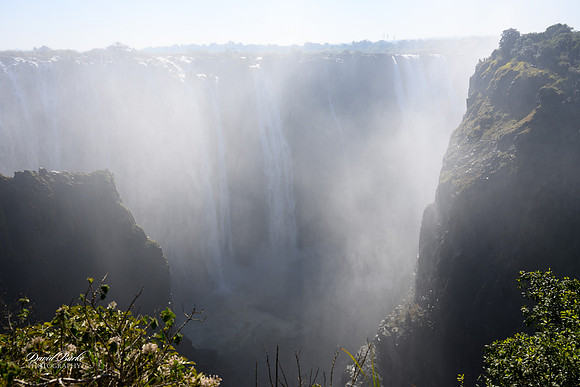 Africa 2024-11