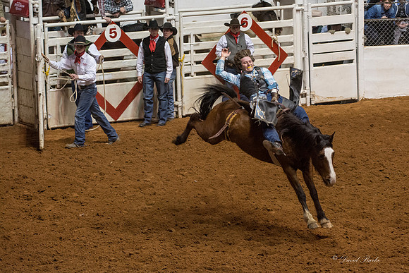 2014 Stock Show Rodeo-136