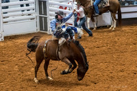 Stock Show 2018-4
