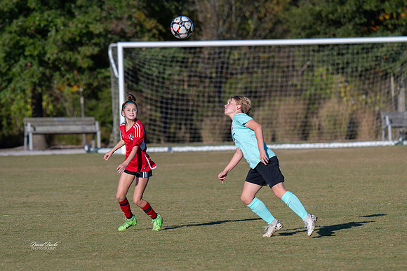 AFA Fillies Oct 2024-8
