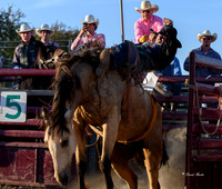 Hamel Rodeo-9