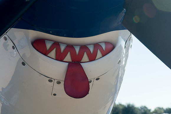 Air show 2014 -17