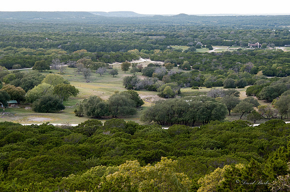 Fossil Rim-91