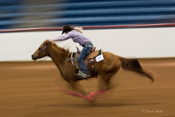 Stock Show 2-3-15-55