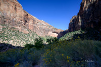 Zion NP Oct 2020-4