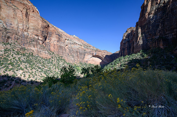 Zion NP Oct 2020-4
