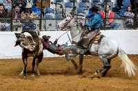 Stock Show 1-27-17-12