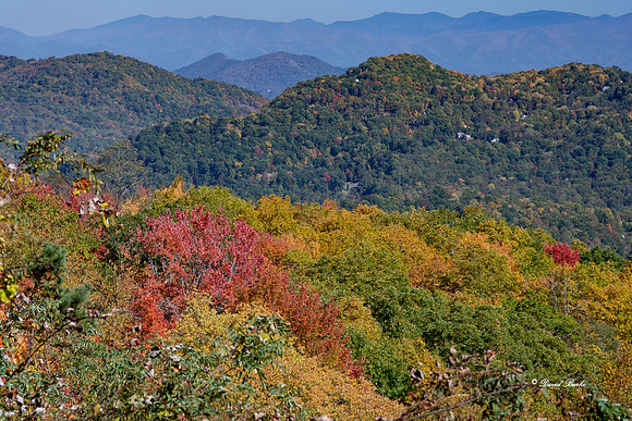 Fall Color 2019-52