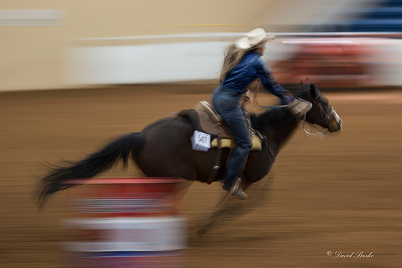 Stock Show 2-3-15-40