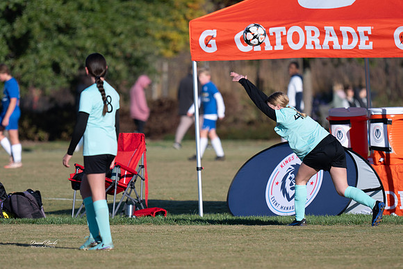 AFA Fillies Oct 2024-12