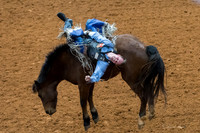 Stock Show 2018-10