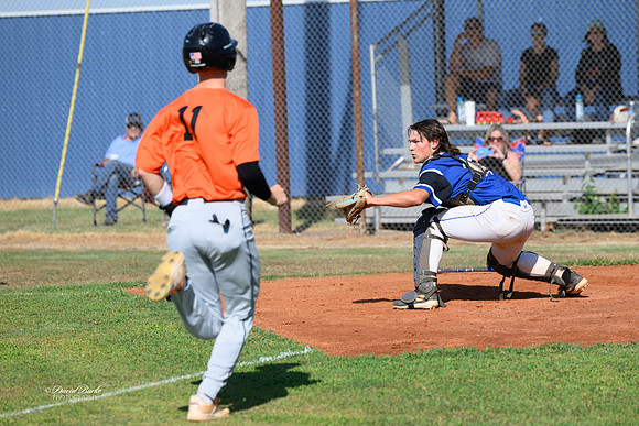Union City Tigers 9-9-24-20