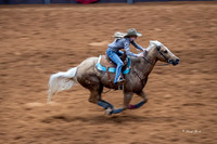 Stock Show 2019-34