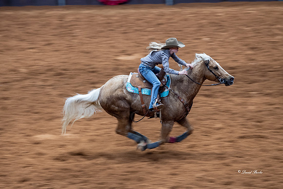 Stock Show 2019-34