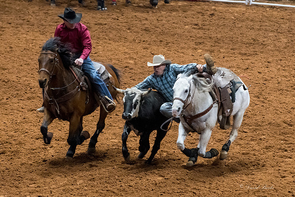 Stock Show 2018-11