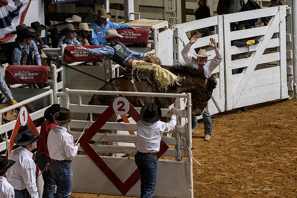 Stock Show 1-27-17-47