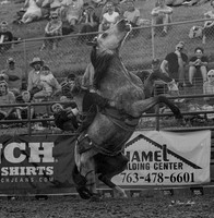 Hamel Rodeo-16-2