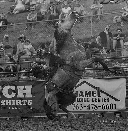Hamel Rodeo-16-2