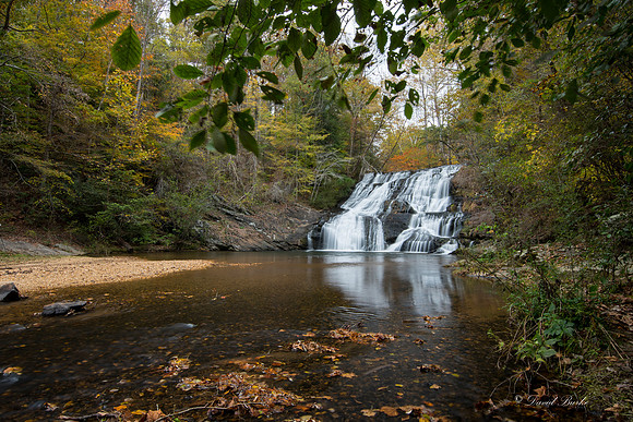 North GA fall 2017-53