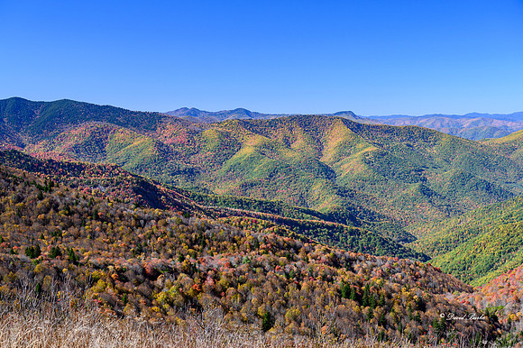 Fall Color 2019-46