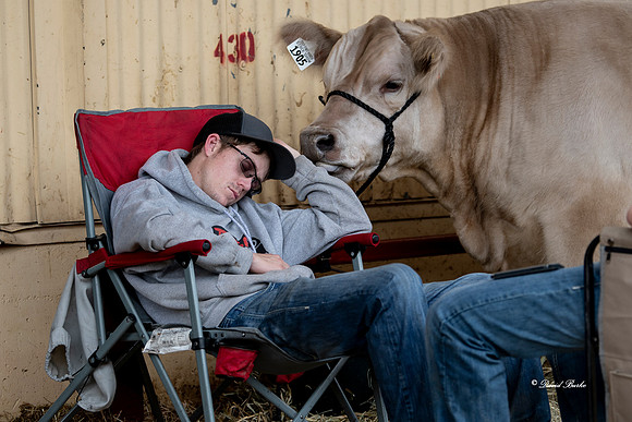 Stock Show 2019-10