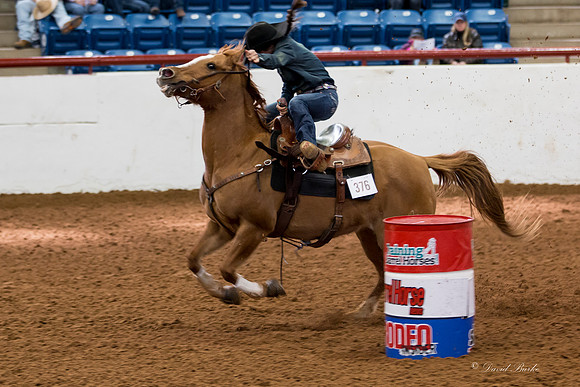 Stock Show 2-3-15-62