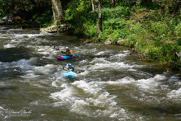 GSMNP2023-1