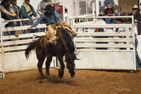 2014 Stock Show Rodeo-147