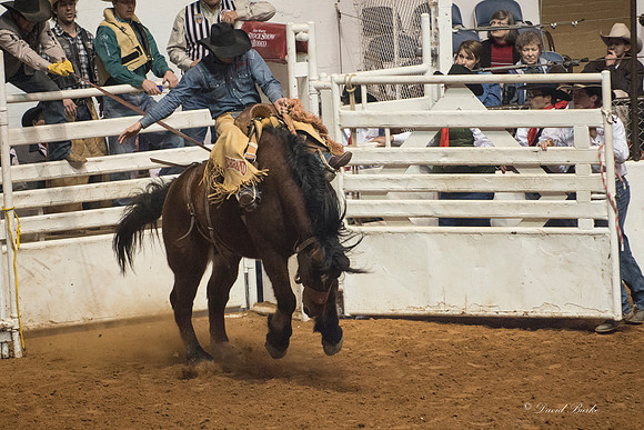 2014 Stock Show Rodeo-147