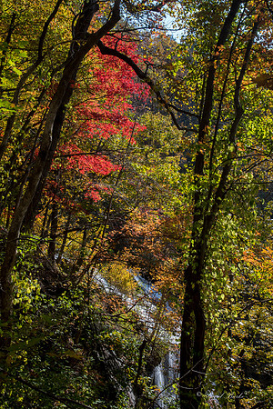 North GA fall 2017-28