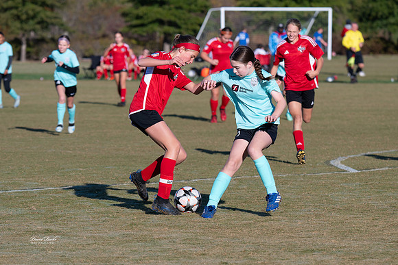 AFA Fillies Oct 2024-6