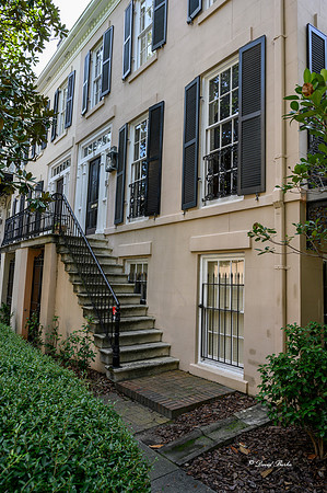 Savannah 2019-42