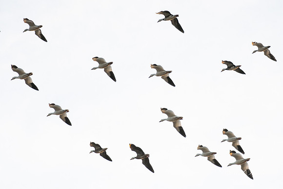 Maryland 2023-6