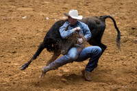 Stock Show 1-27-17-30