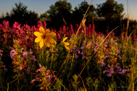Tandy Hills 4-24-18-12