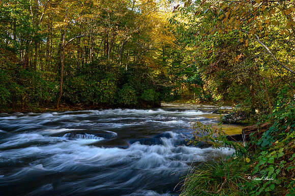 Fall Color 2019-17