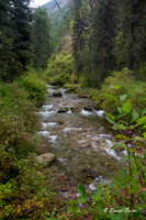 Idaho trip 2015-11