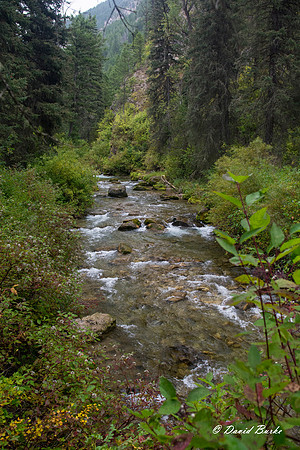 Idaho trip 2015-11